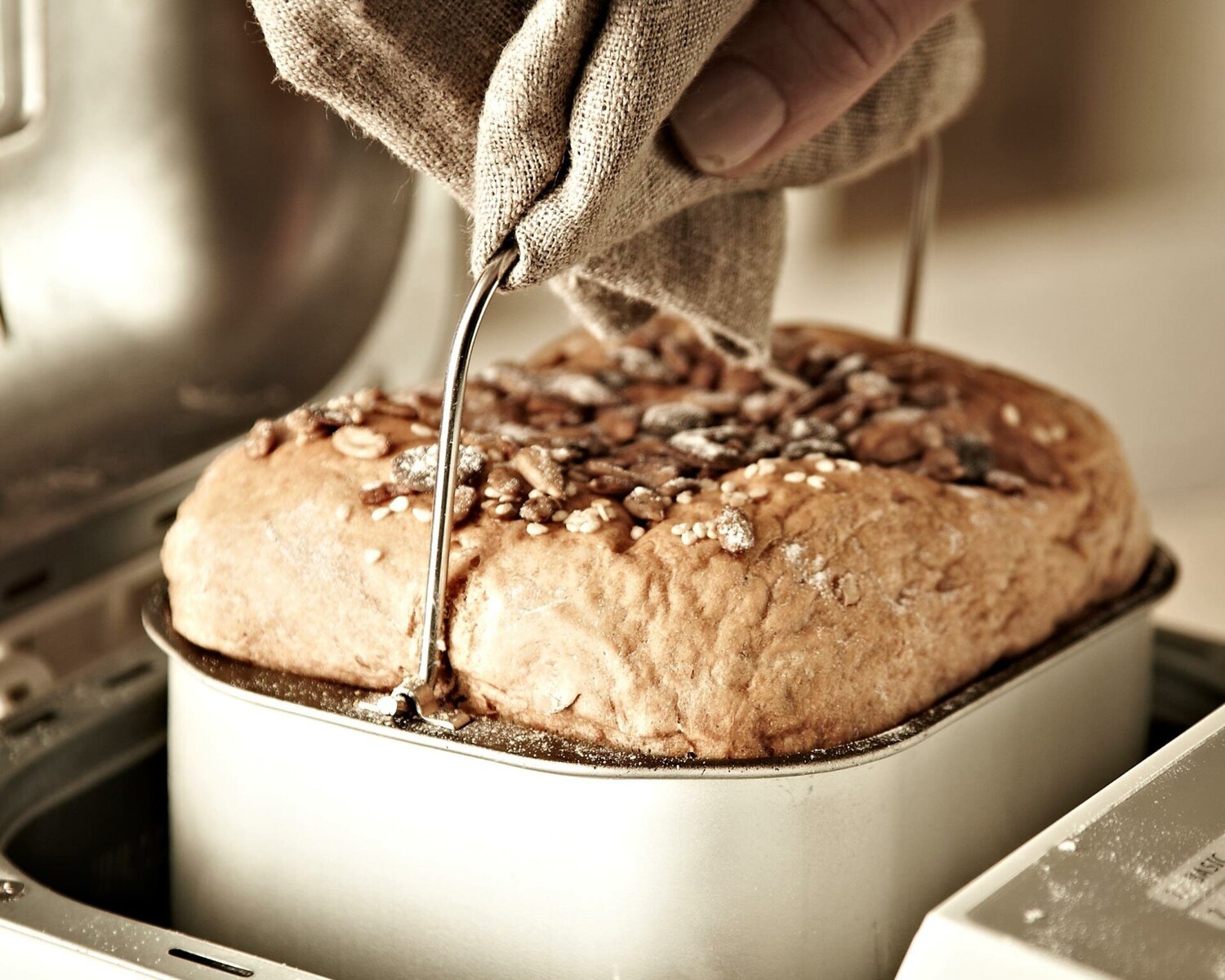 Beautiful Fresh Bread