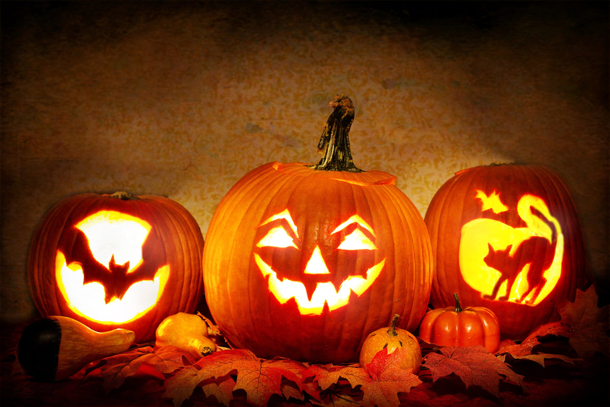 10 Easy Pumpkin Carving Ideas for the Whole Family This Halloween