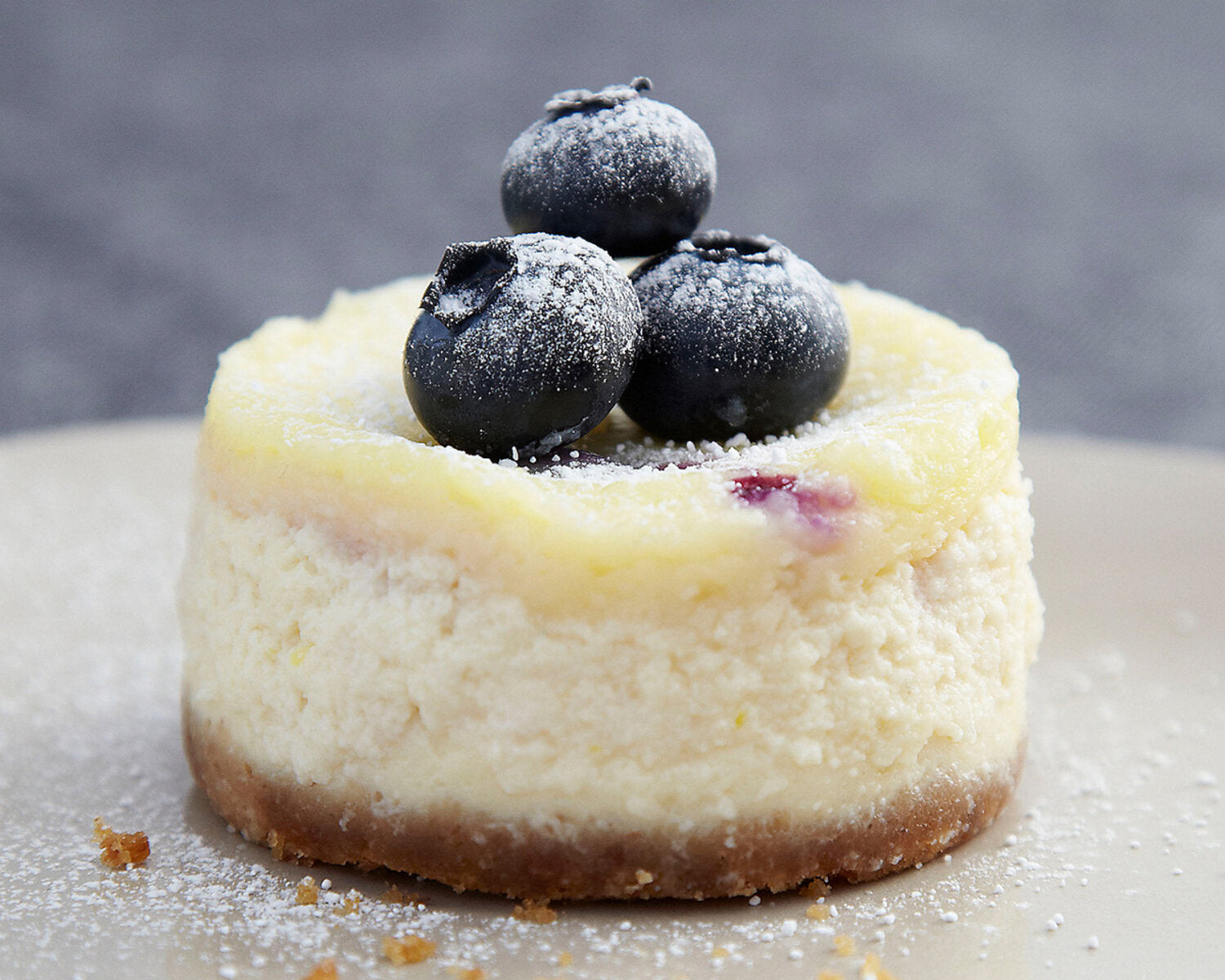 Mini Blueberry & Vanilla Cheesecakes