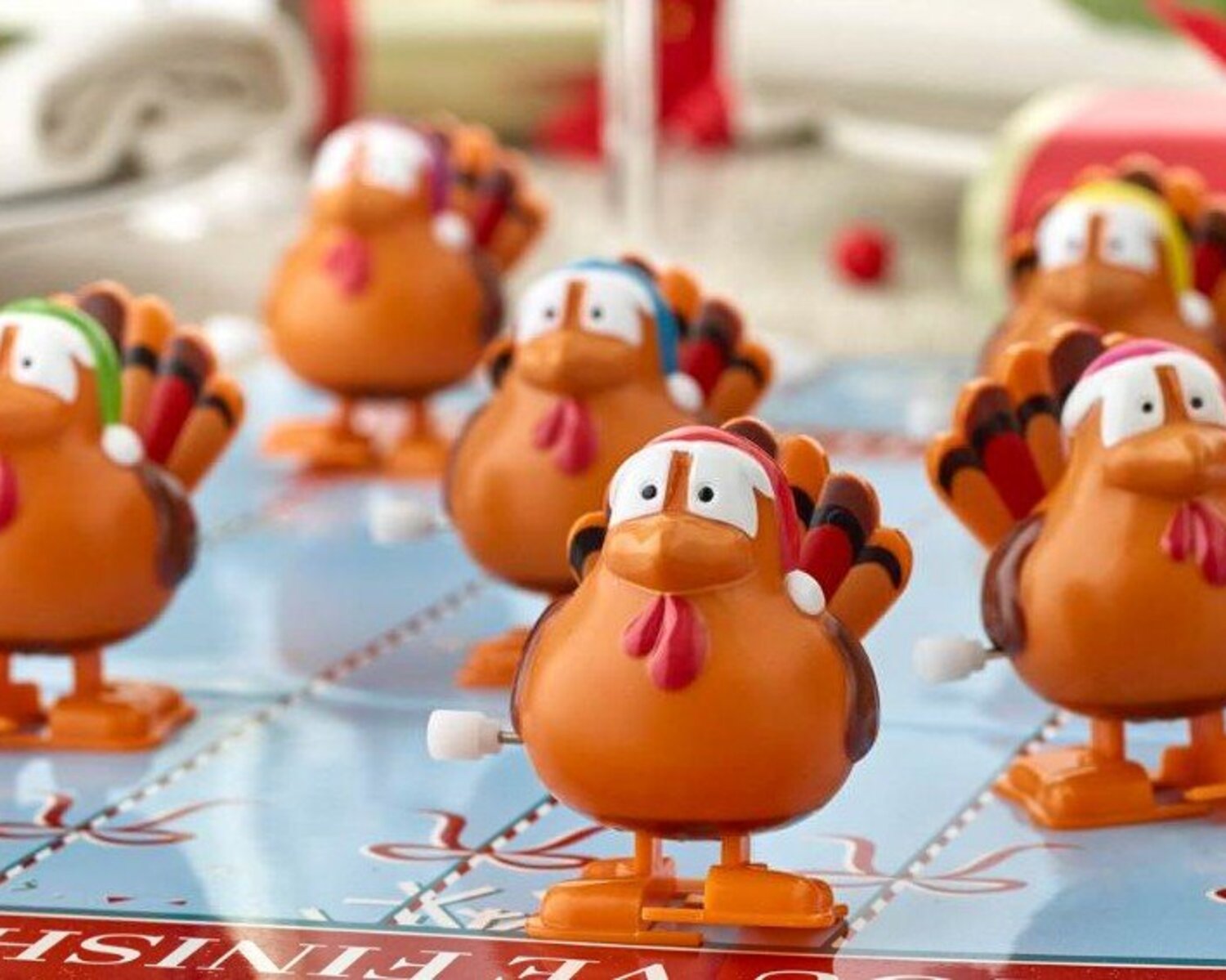 Let’s talk turkeys. Racing turkeys.