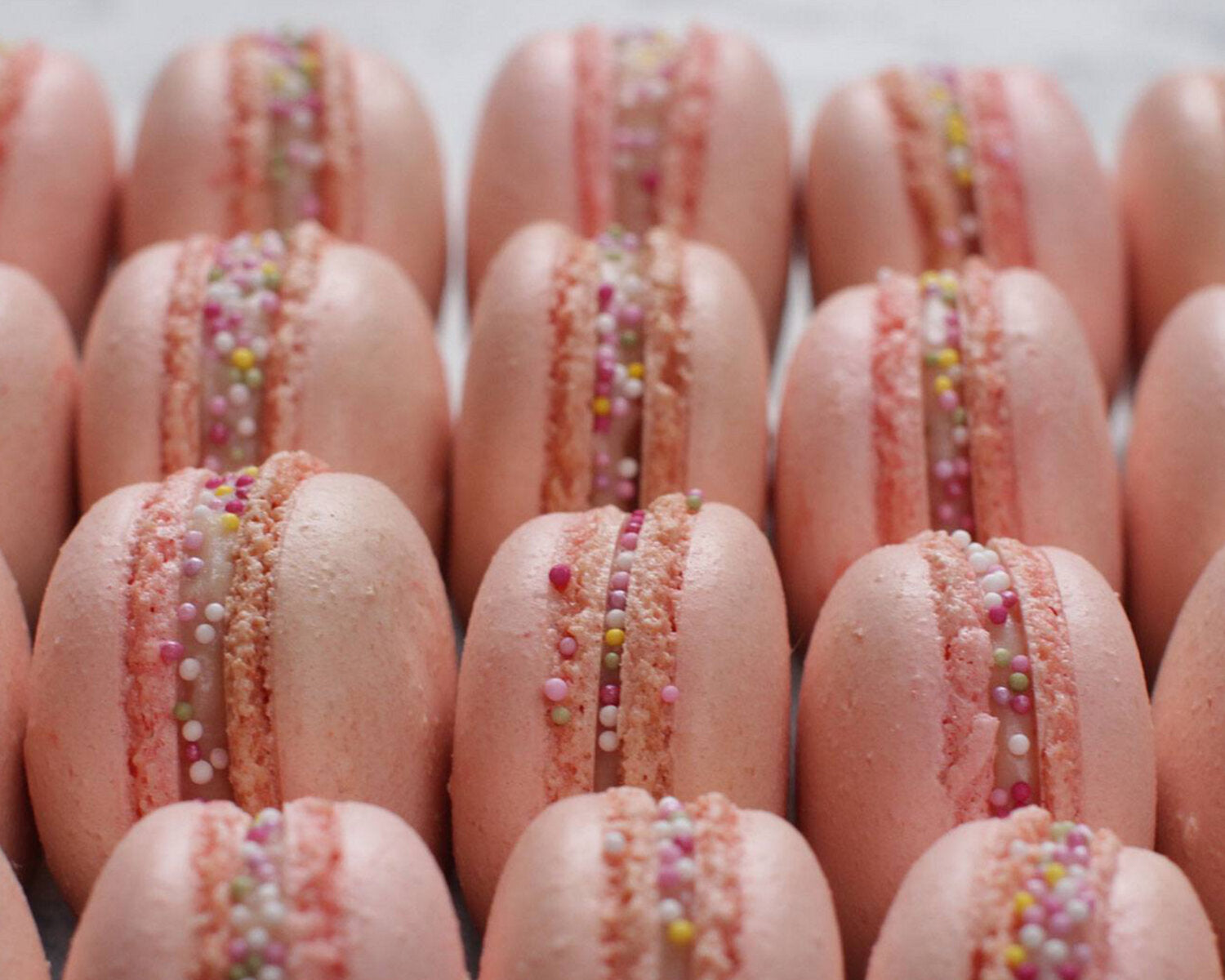 Strawberry Macarons