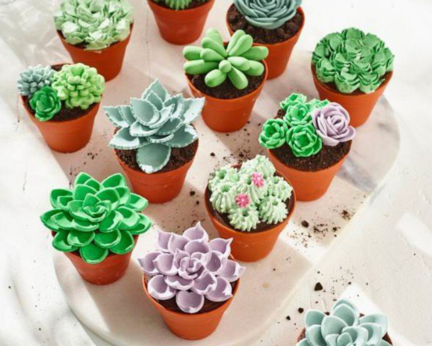 Succulent Plant Cupcakes