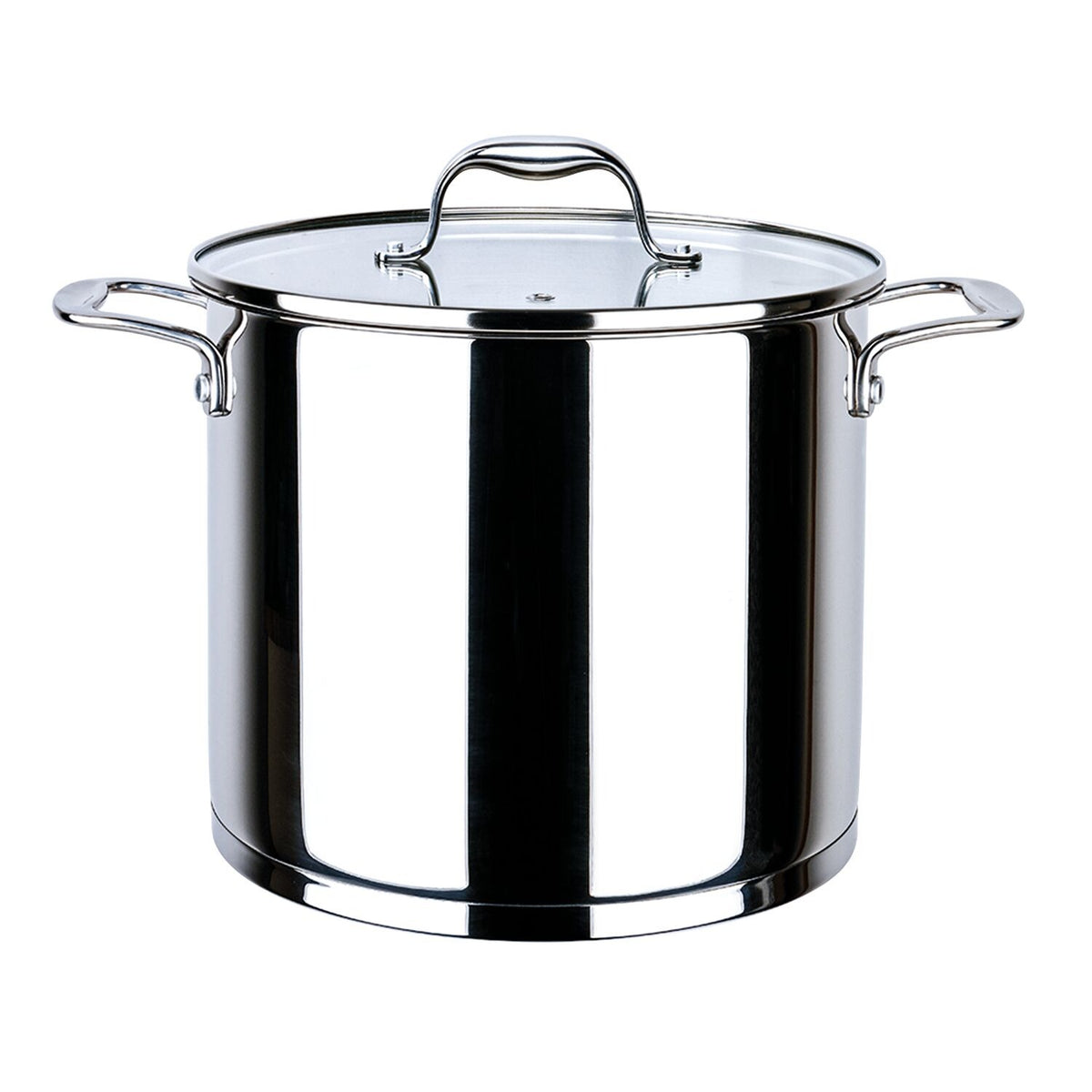 Stainless Steel 24cm Stockpot